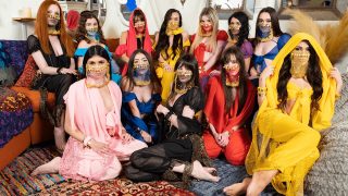 Innocent Harem: Tease and Please