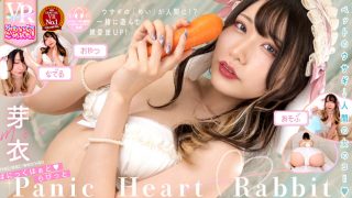 Mei – Panic Heart Rabbit – Sorry For Being Too Cute!