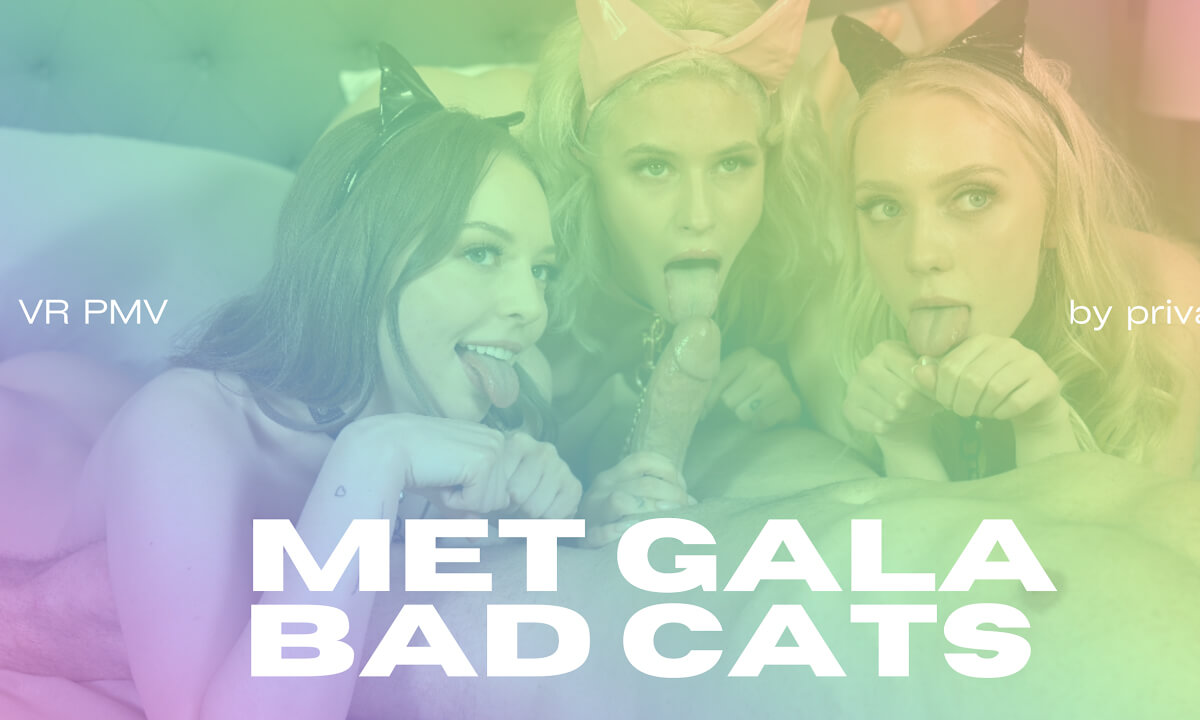 Met Gala Bad Cats – VR Porn PMV | By Private Jet