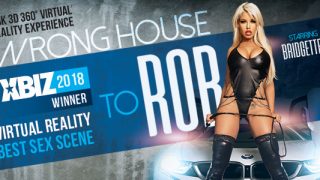 The Wrong House to Rob