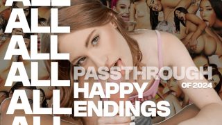 All Of 2024 Passthrough Happy Endings | Mega Compilation | VR Compilation by Private Jet