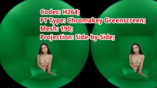H264_PTGreenscreen_SBS_Fisheye_190