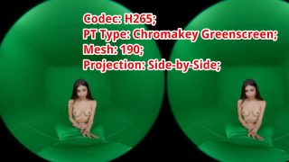 H265_PTGreenscreen_SBS_Fisheye_190