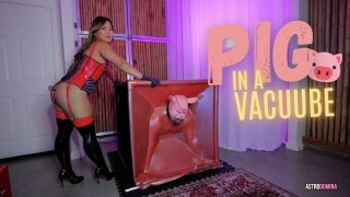 Pig In A Vacuube Feat Astrodomina