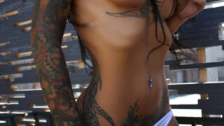 Tattooed Babe Sunbathes Topless