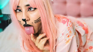 New Pet Neko Cat Wants Your Milk
