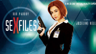 Sex Files (A XXX VR Parody)