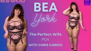 The Perfect Wife